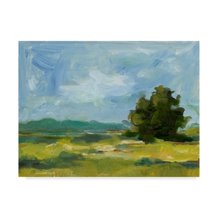 Ethan Harper 'Field Color Study Ii' Canvas Art,35x47